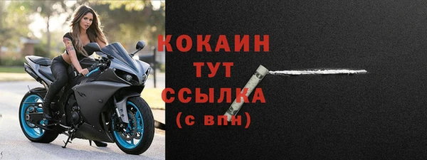 гидра Абаза