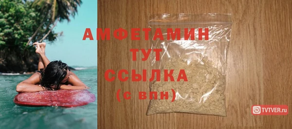 гидра Абаза